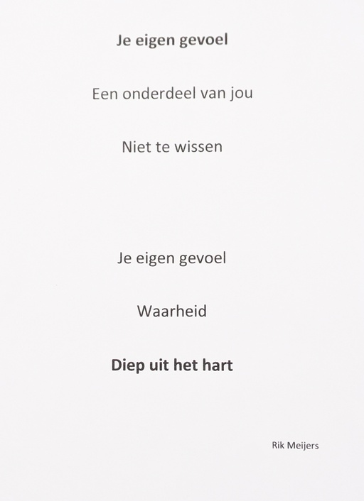Rik Meijers